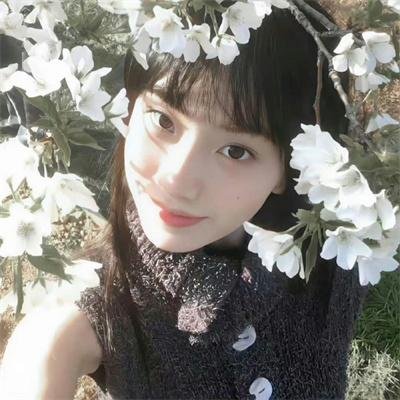 玛雅帮第五季